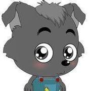 飞来的个人资料头像