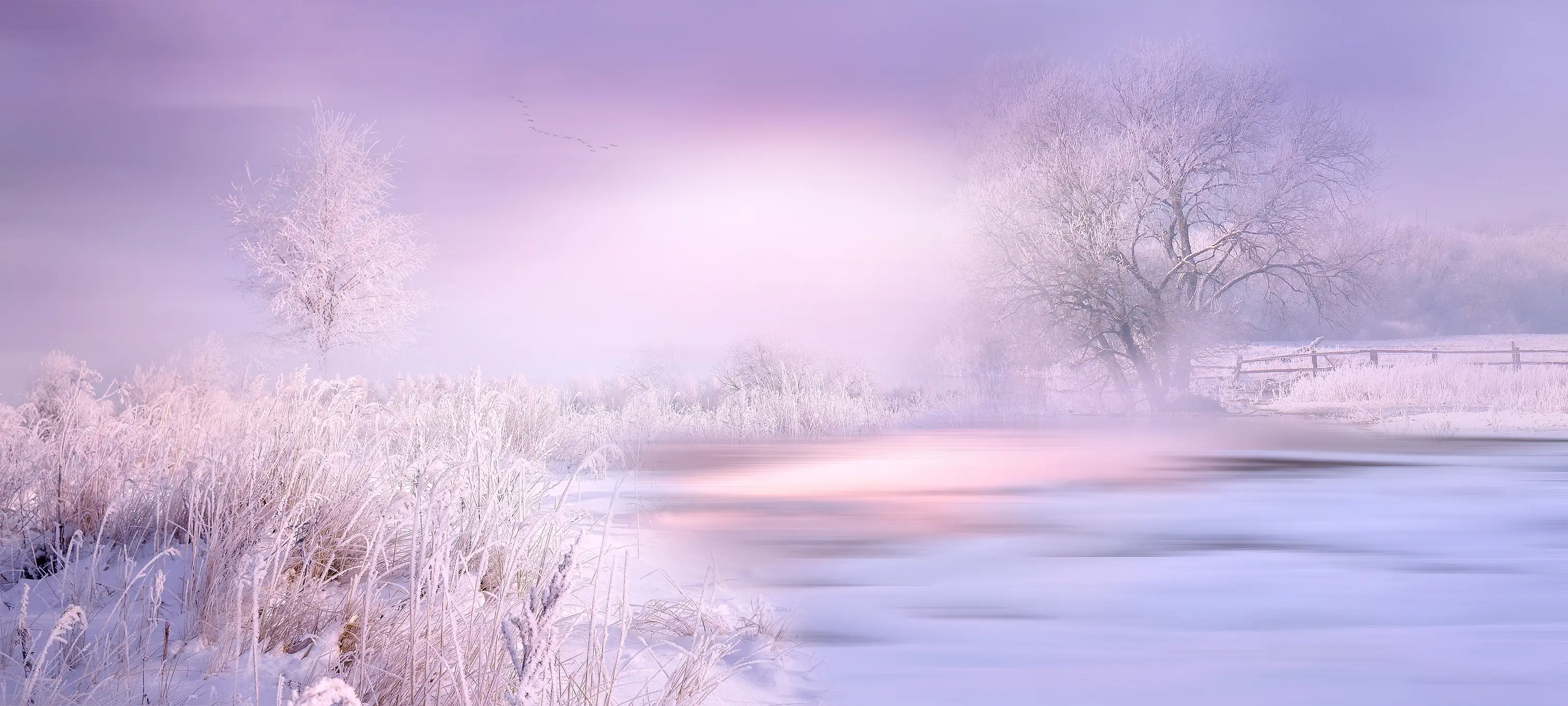 该图片由DreamyArt在Pixabay上发布