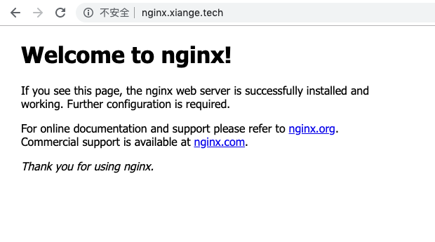 nginx 配置成功