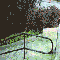 狗狗摇摆教一统江湖于2019-10-30 02:13发布的图片