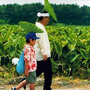 0xGANGZI于2019-10-30 18:23发布的图片