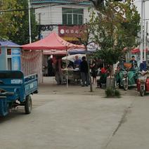 我卷不过你们于2019-10-04 07:57发布的图片