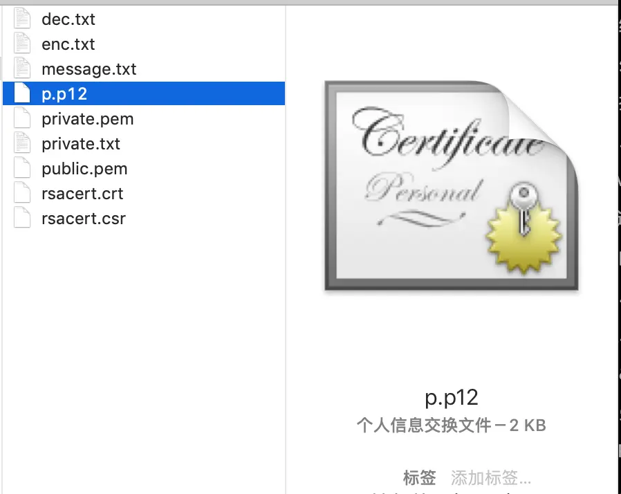 步骤3，根据证书文件导出的p.p12文件.png