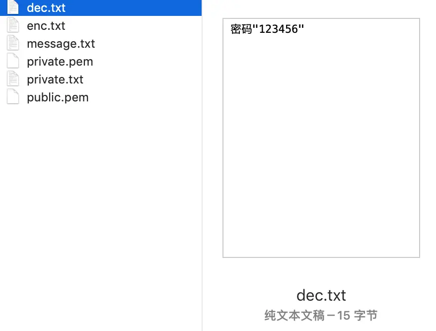 步骤11：通过私钥private.pem解密之前加密的密文enc.txt，并生成解密后的文件dec.png