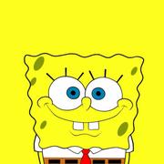 Cat996的个人资料头像