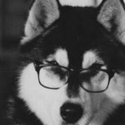 吴祖贤的个人资料头像