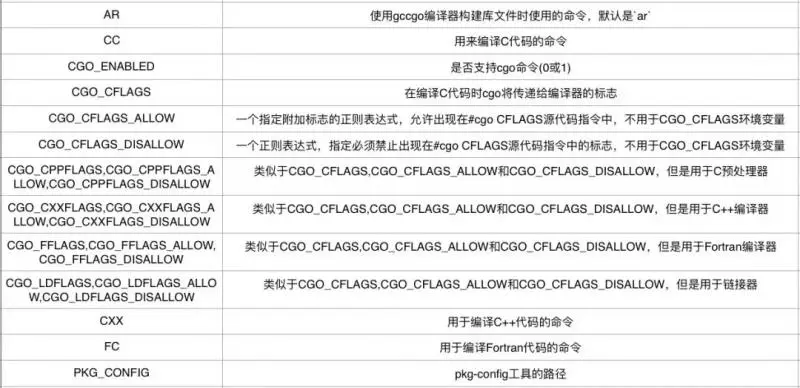go env cgo