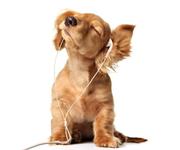 alanzhangfx的个人资料头像