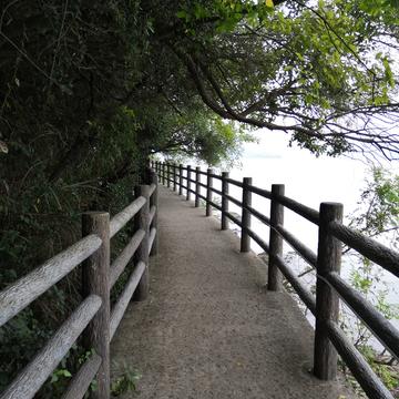 湘湖小蓝瓶于2019-10-07 06:36发布的图片