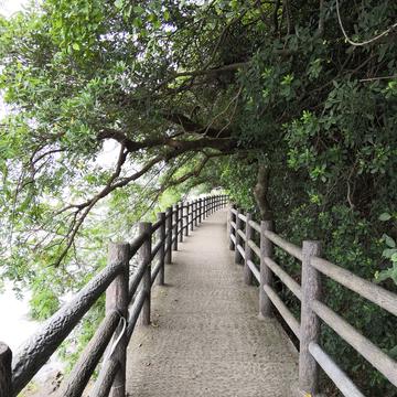 湘湖小蓝瓶于2019-10-07 06:36发布的图片