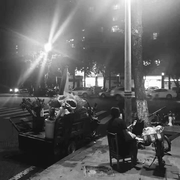 小鸿很优秀的个人资料头像