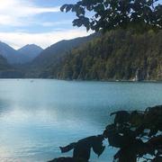 Chocolyte的个人资料头像