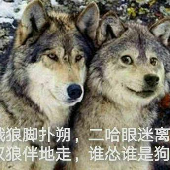 elcccc于2019-10-08 22:43发布的图片