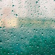 一只小熊泰迪的个人资料头像