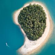 gududed的个人资料头像