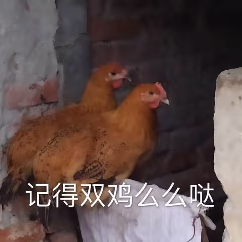 西瓜籽于2019-10-09 11:31发布的图片