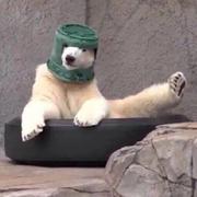 khcu455的个人资料头像