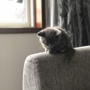 Barrel89416的个人资料头像