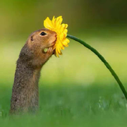 千千寰宇的个人资料头像