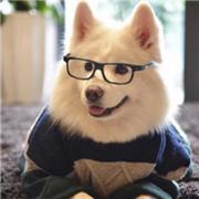 Cyzhouke的个人资料头像