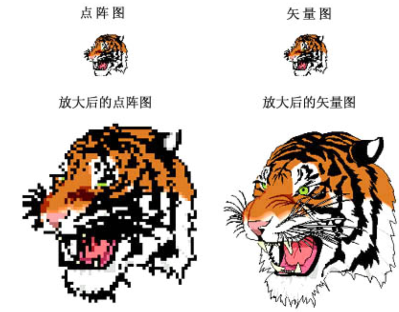 不同类型图片放大效果