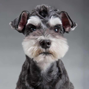 leowoo的个人资料头像