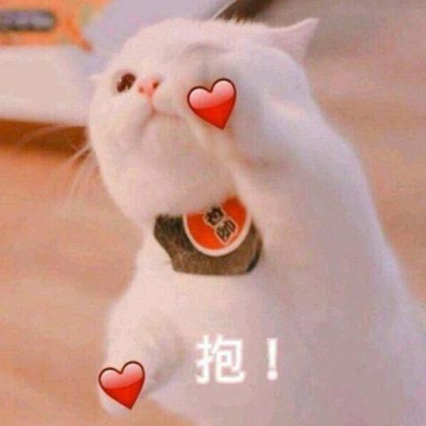 皮卡丘的哥哥皮球于2019-11-01 14:51发布的图片