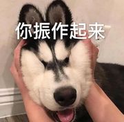 没有人是一座孤岛的个人资料头像