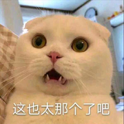 Iceksssss的个人资料头像