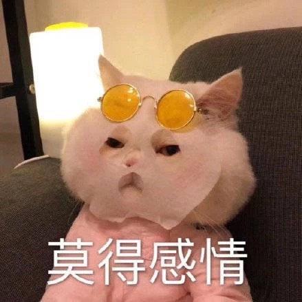 七宝酱于2019-11-01 21:37发布的图片