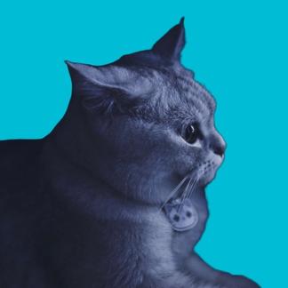 墨尽书香于2019-11-10 12:38发布的图片