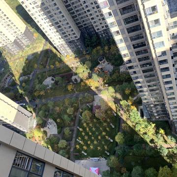 toSee于2019-11-10 13:34发布的图片