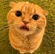 江逐流的个人资料头像