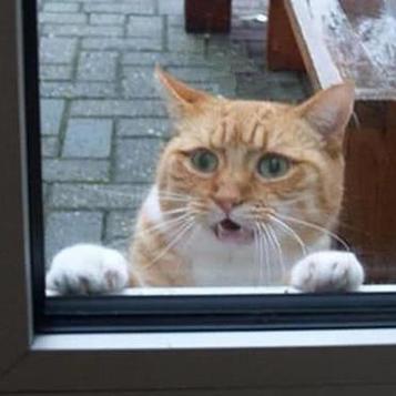 Kaleldo于2019-11-11 19:38发布的图片