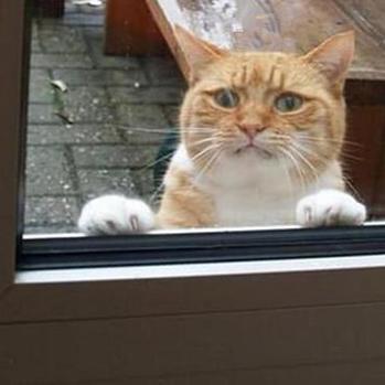 Kaleldo于2019-11-11 19:38发布的图片