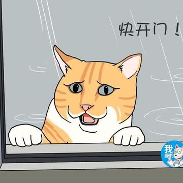 Kaleldo于2019-11-11 19:38发布的图片