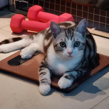 说出你的愿望吧于2019-11-12 21:49发布的图片