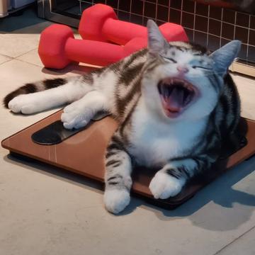 说出你的愿望吧于2019-11-12 21:49发布的图片