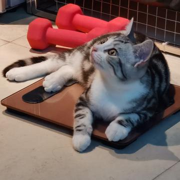 说出你的愿望吧于2019-11-12 21:49发布的图片