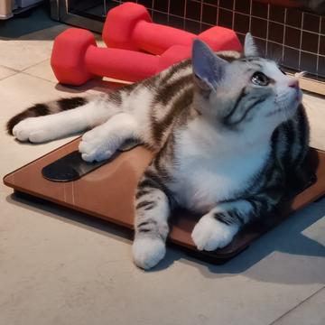 说出你的愿望吧于2019-11-12 21:49发布的图片