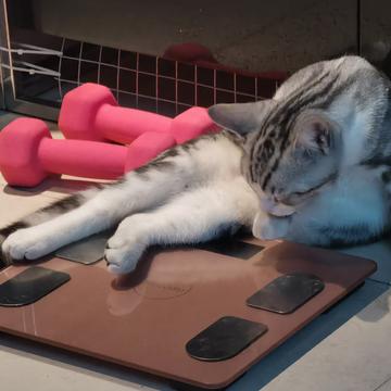 说出你的愿望吧于2019-11-12 21:49发布的图片