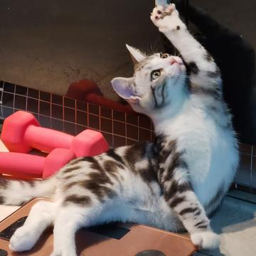 说出你的愿望吧于2019-11-12 21:49发布的图片