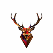 炽焰的个人资料头像