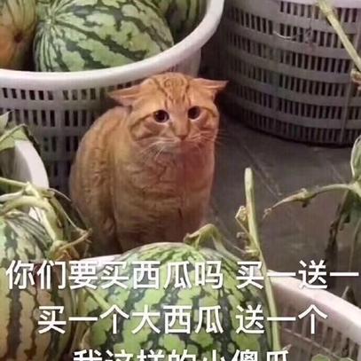 已注销于2019-11-14 13:20发布的图片