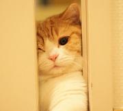 华工彭干晏的个人资料头像