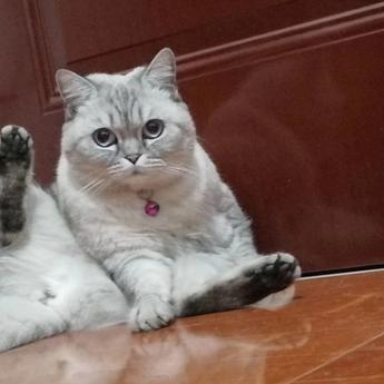 微凉于2019-11-15 15:58发布的图片