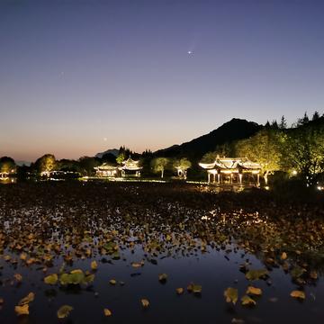 程序员解决师于2019-11-15 19:11发布的图片