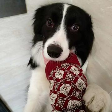 mrguo0219于2019-11-15 19:27发布的图片