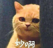 geekLee92856的个人资料头像