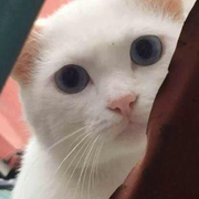 1459726992的个人资料头像
